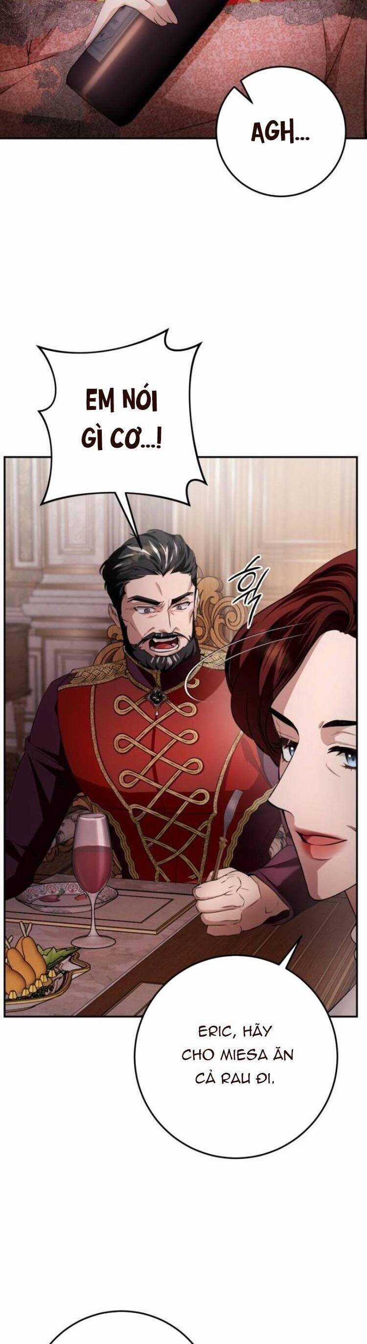 Đằng Sau Nụ Cười Của Nàng Công Chúa Chương 10 trang 23