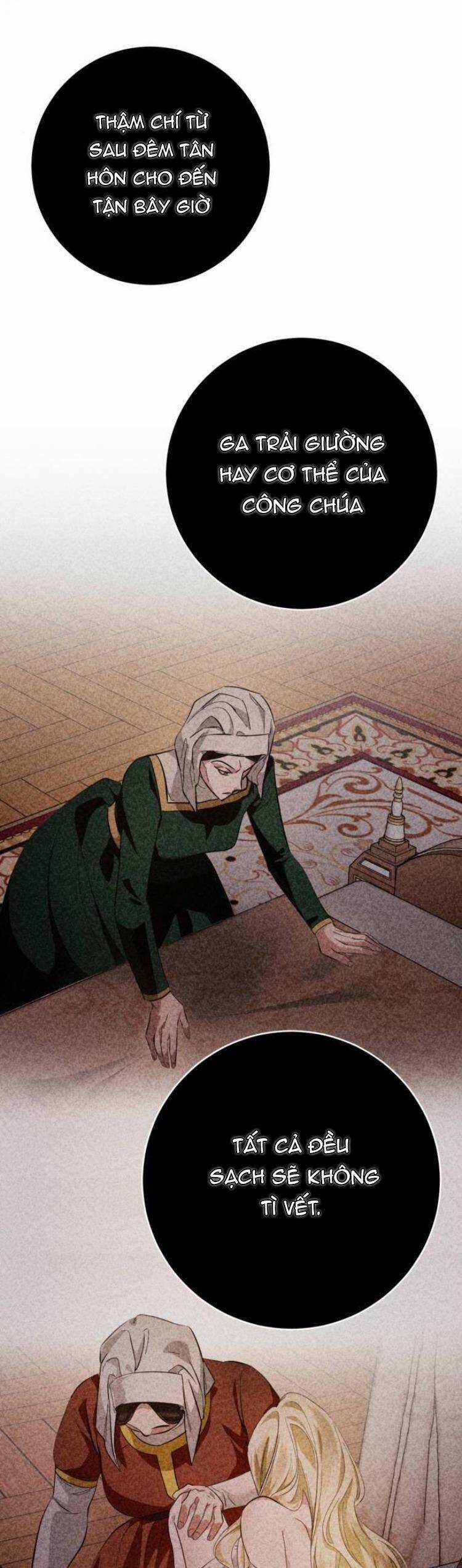 Đằng Sau Nụ Cười Của Nàng Công Chúa Chương 11 trang 12