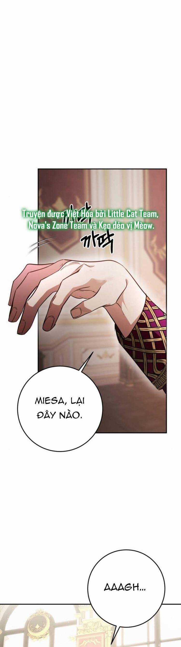 Đằng Sau Nụ Cười Của Nàng Công Chúa Chương 11 trang 25