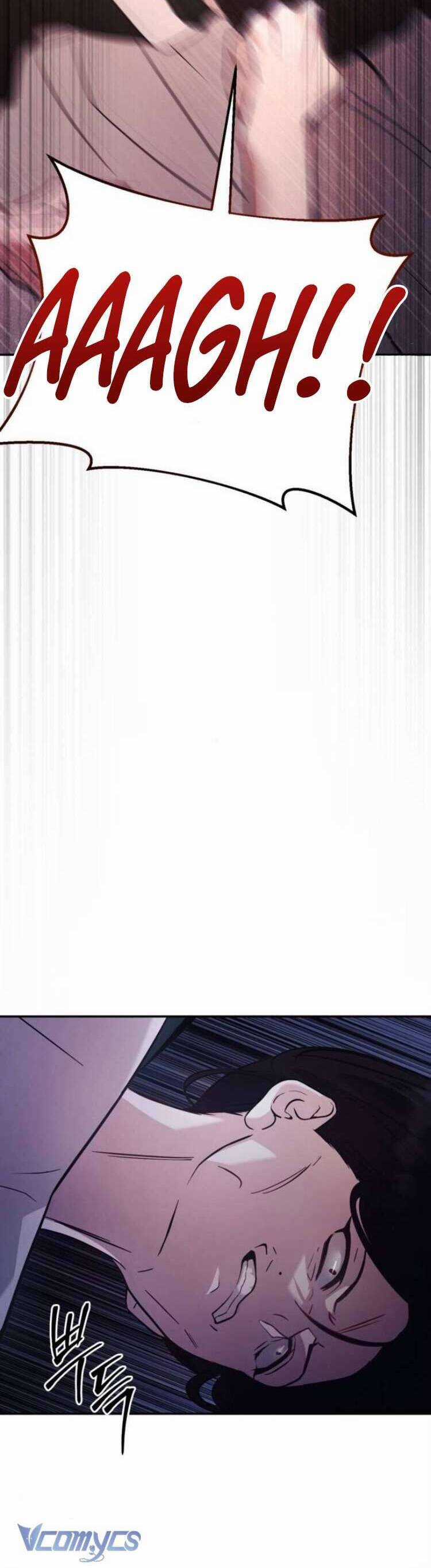 Đằng Sau Nụ Cười Của Nàng Công Chúa Chương 13 trang 24