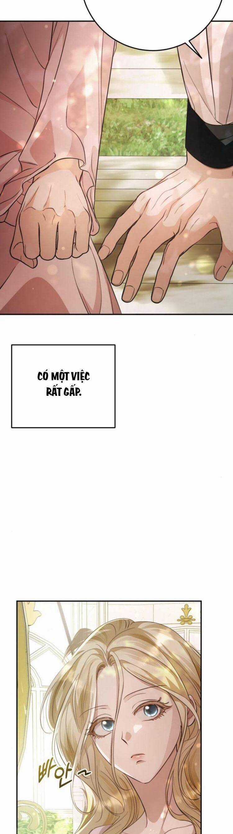 Đằng Sau Nụ Cười Của Nàng Công Chúa Chương 15 trang 41