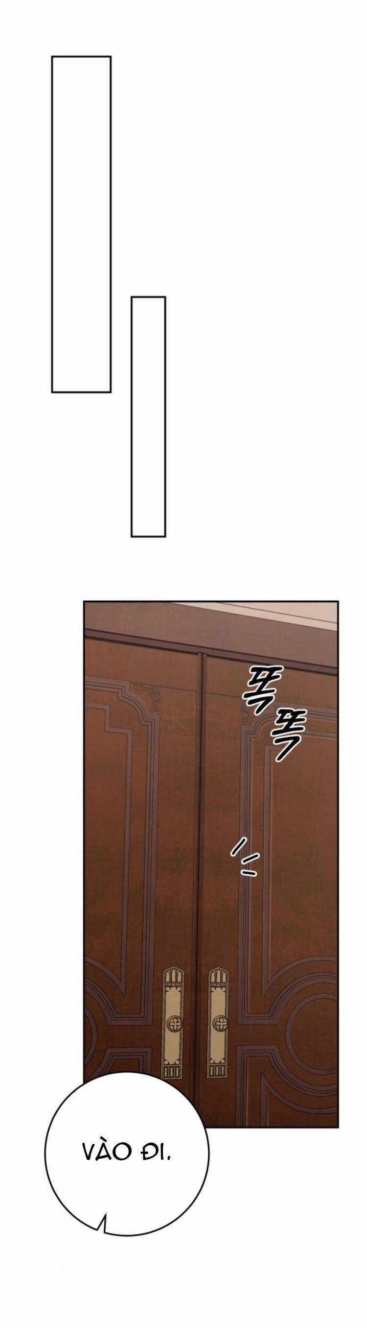 Đằng Sau Nụ Cười Của Nàng Công Chúa Chương 19 trang 29