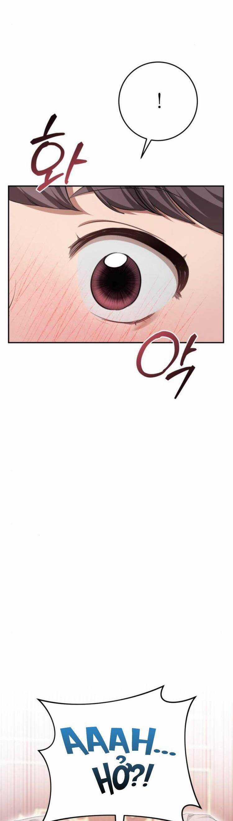 Đằng Sau Nụ Cười Của Nàng Công Chúa Chương 21 trang 33