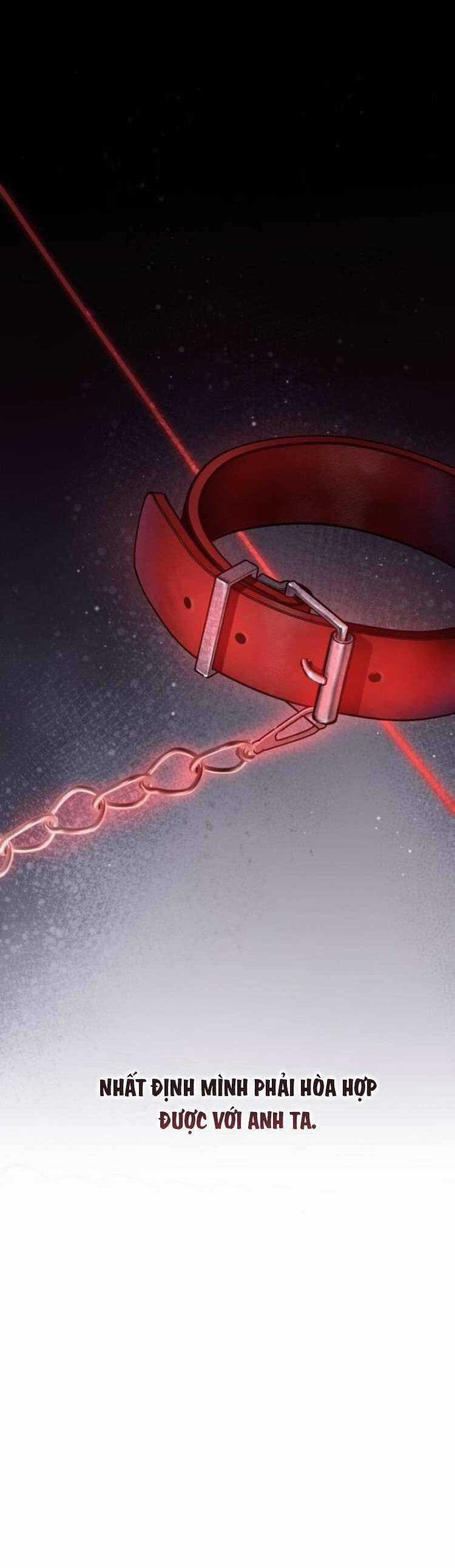 Đằng Sau Nụ Cười Của Nàng Công Chúa Chương 25 trang 11