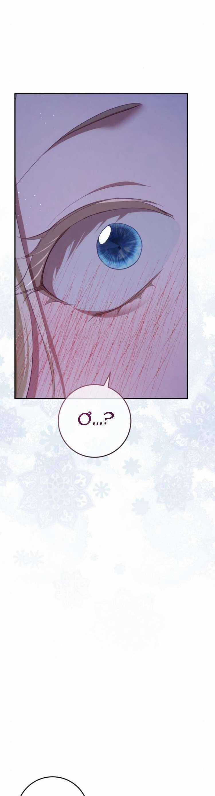 Đằng Sau Nụ Cười Của Nàng Công Chúa Chương 28 trang 49