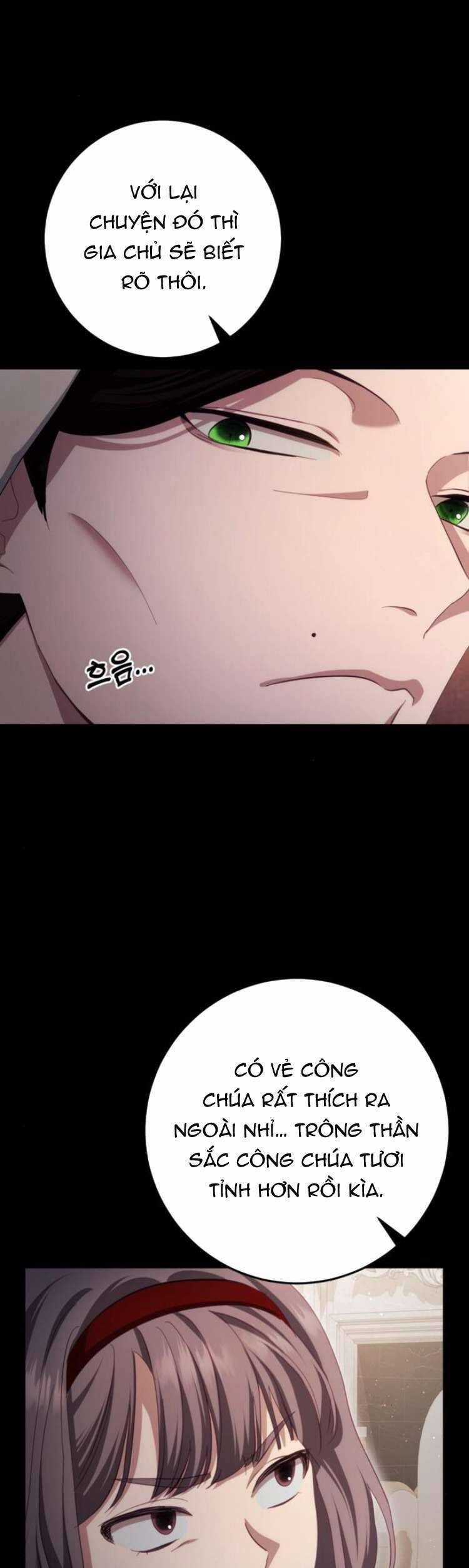 Đằng Sau Nụ Cười Của Nàng Công Chúa Chương 29 trang 25