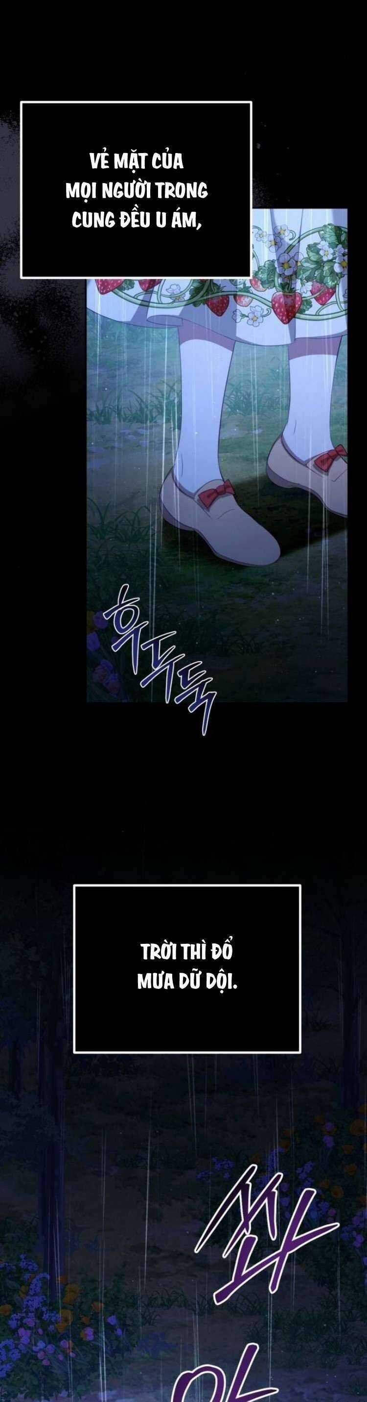 Đằng Sau Nụ Cười Của Nàng Công Chúa Chương 31 trang 13