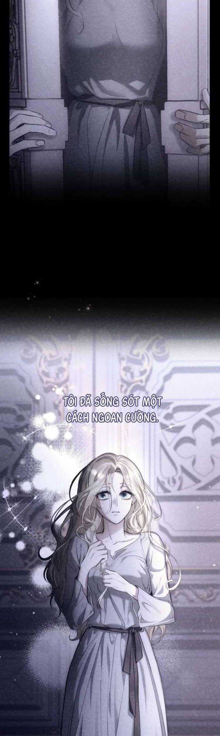 Đằng Sau Nụ Cười Của Nàng Công Chúa Chương 31 trang 28