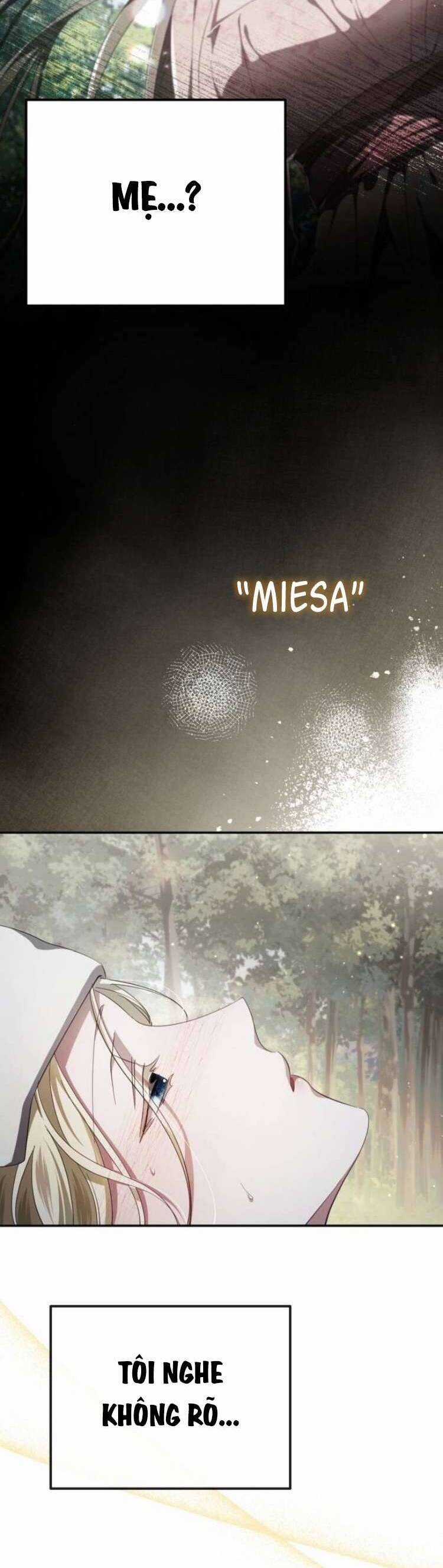 Đằng Sau Nụ Cười Của Nàng Công Chúa Chương 41 trang 17