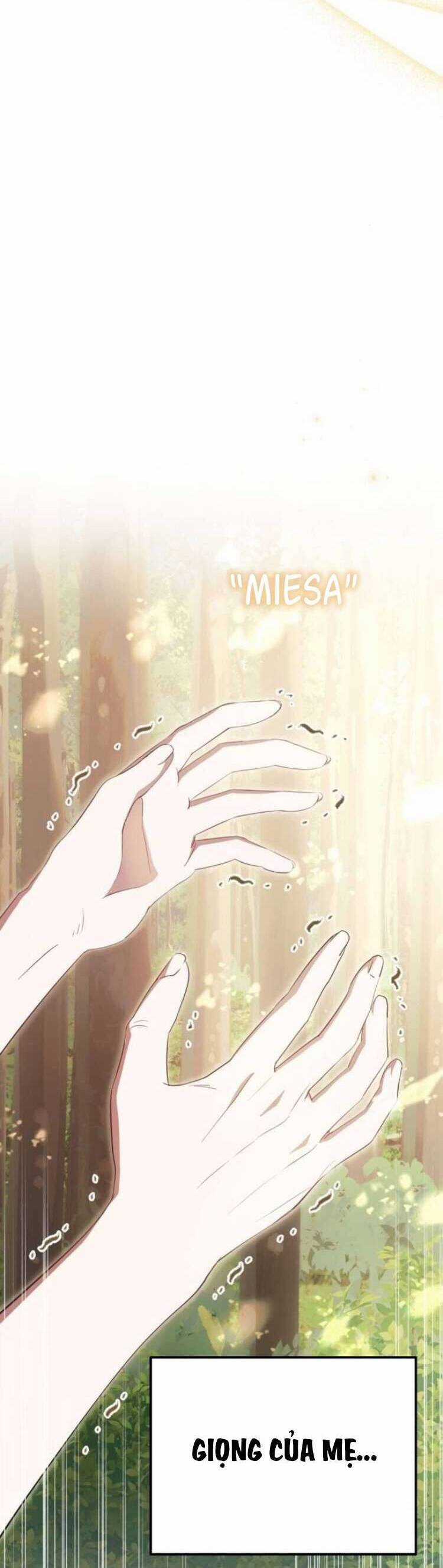 Đằng Sau Nụ Cười Của Nàng Công Chúa Chương 41 trang 18