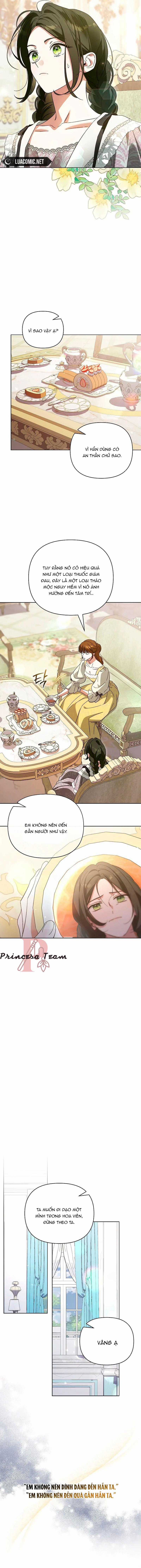 Dành Cho Nàng Juliet Xinh Đẹp Chapter 1 trang 13