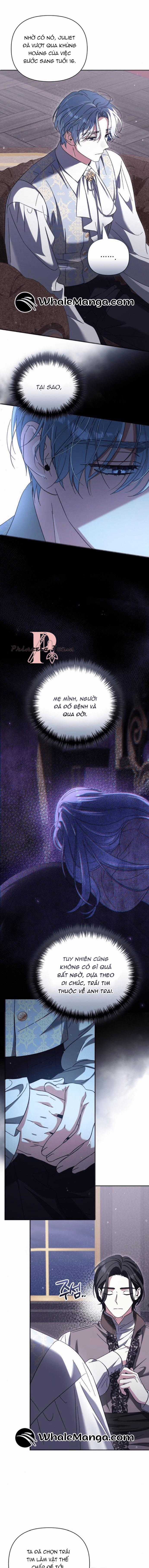 Dành Cho Nàng Juliet Xinh Đẹp Chapter 10 trang 12