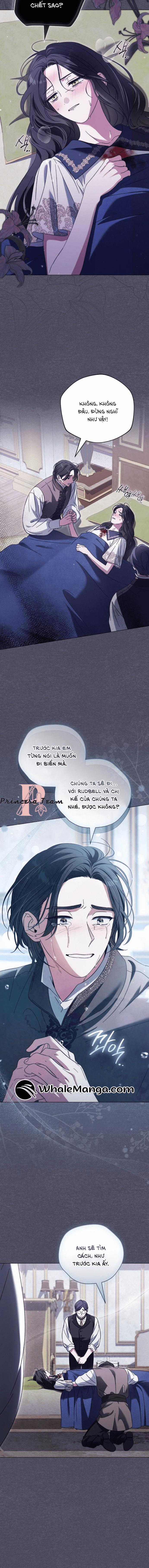 Dành Cho Nàng Juliet Xinh Đẹp Chapter 10 trang 15