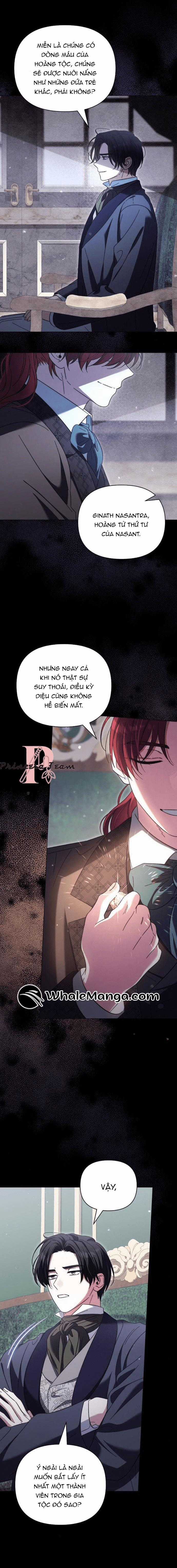 Dành Cho Nàng Juliet Xinh Đẹp Chapter 10 trang 7