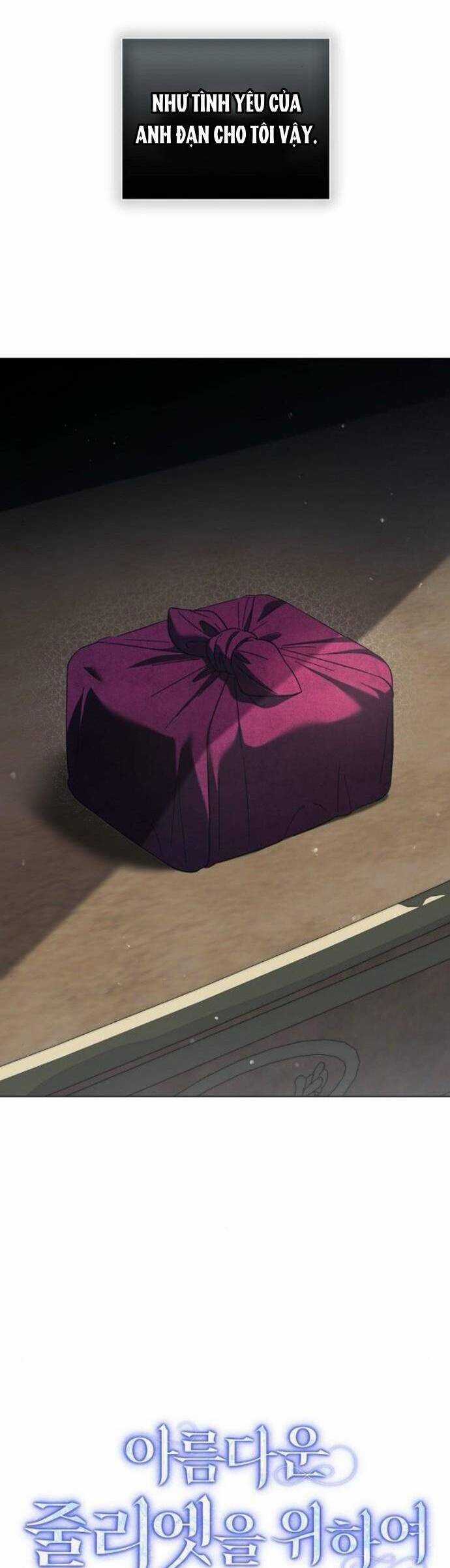 Dành Cho Nàng Juliet Xinh Đẹp Chapter 13 trang 25