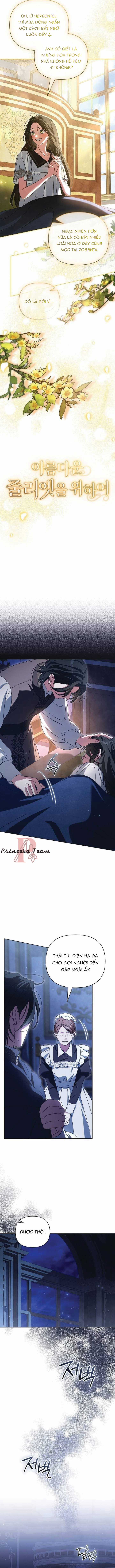 Dành Cho Nàng Juliet Xinh Đẹp Chapter 9 trang 6