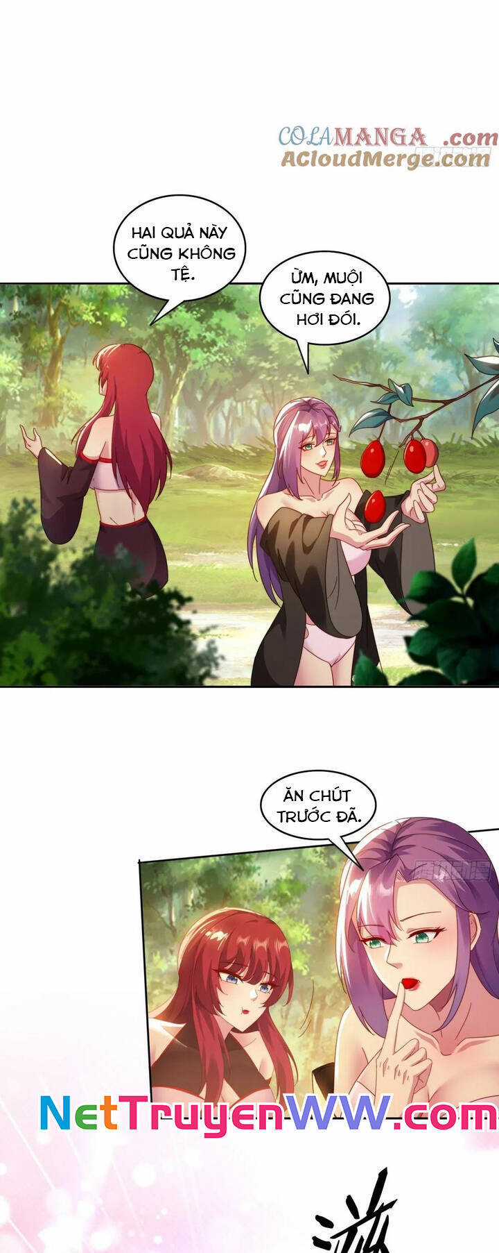 Đánh Dấu Chín Vạn Năm, Tiền Nhiệm Đạo Lữ Muốn Chém Chết Ta Chương 42 trang 13