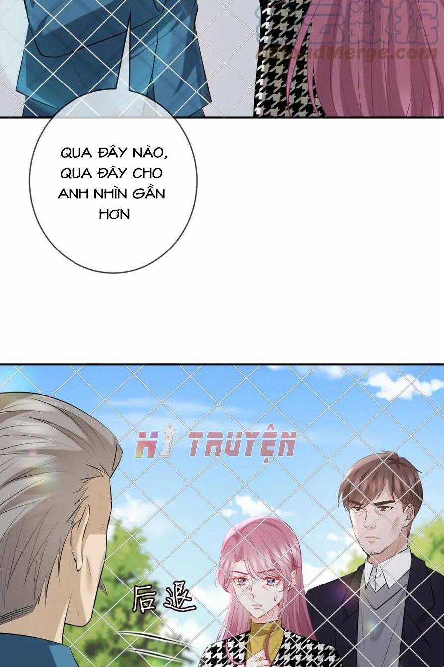Danh Môn Chí Ái Chapter 397 trang 1
