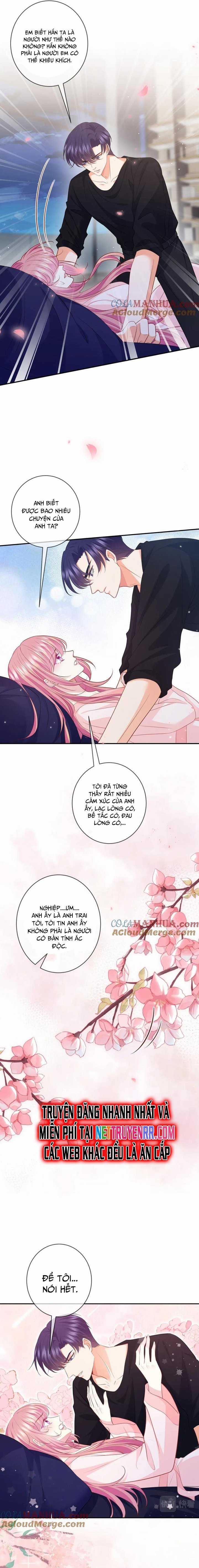 Danh Môn Chí Ái Chapter 474 trang 4