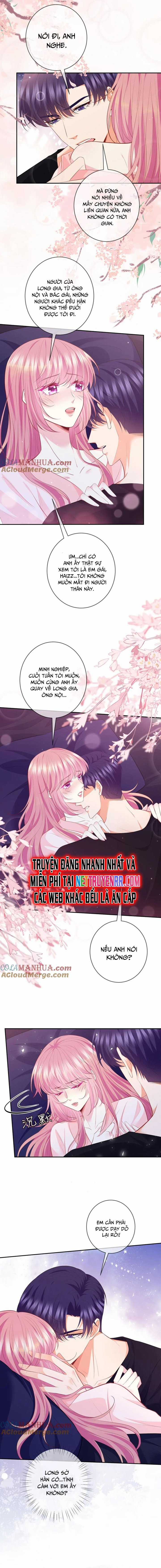 Danh Môn Chí Ái Chapter 474 trang 5