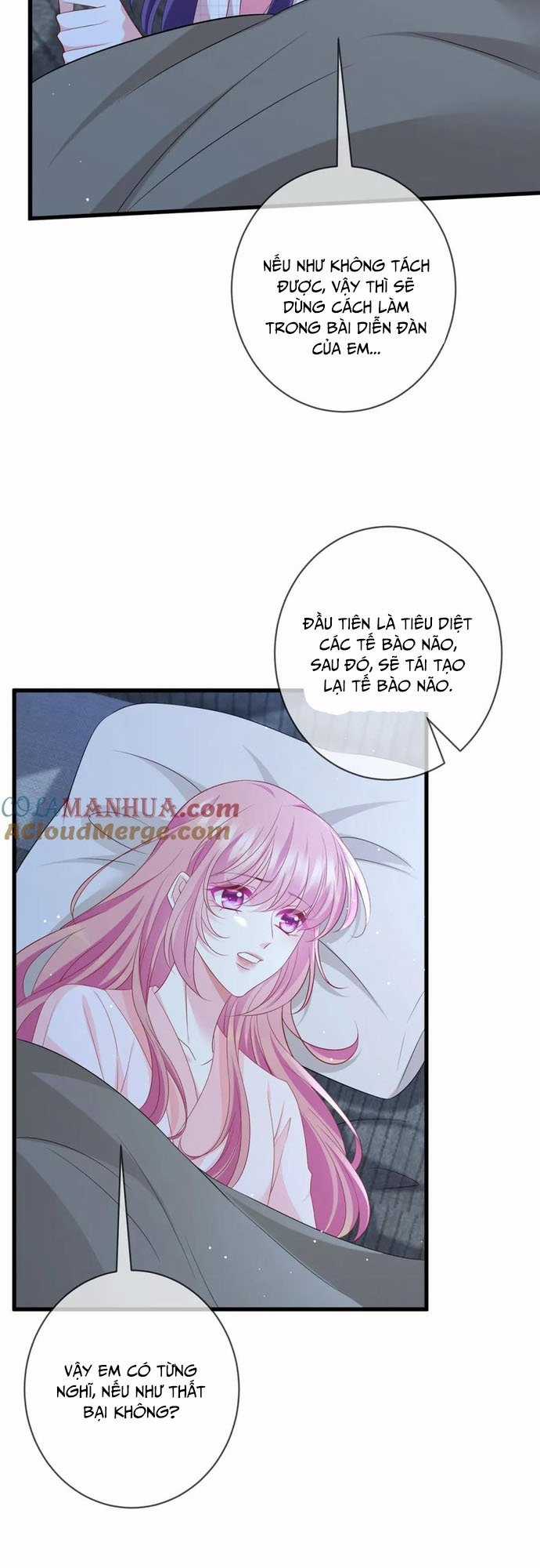 Danh Môn Chí Ái Chapter 475 trang 21