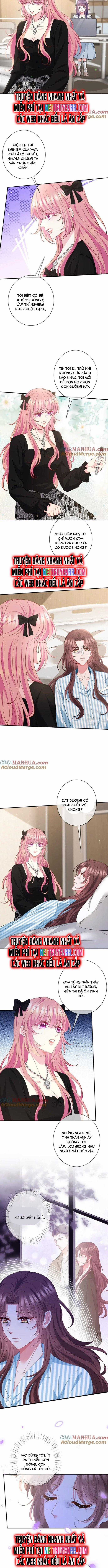 Danh Môn Chí Ái Chapter 477 trang 1