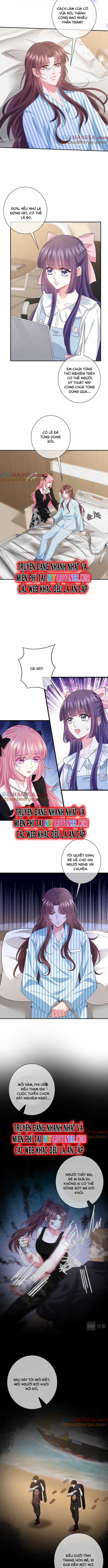 Danh Môn Chí Ái Chapter 477 trang 2