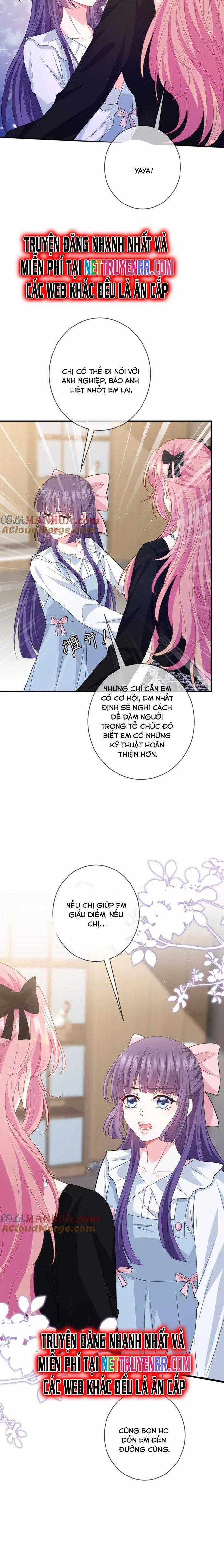 Danh Môn Chí Ái Chapter 477 trang 4