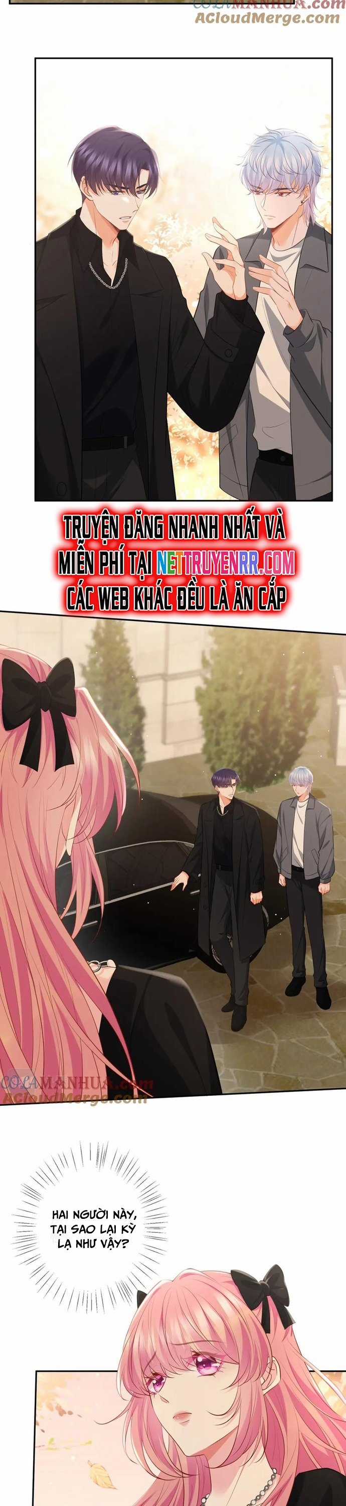 Danh Môn Chí Ái Chapter 478 trang 11