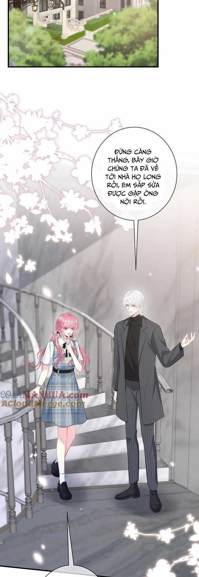 Danh Môn Chí Ái Chapter 482 trang 12