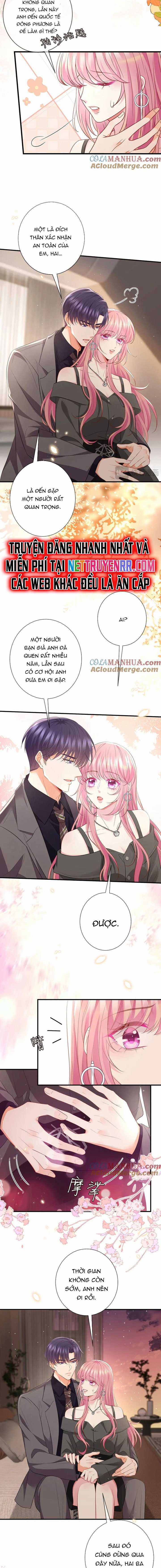 Danh Môn Chí Ái Chapter 486 trang 3