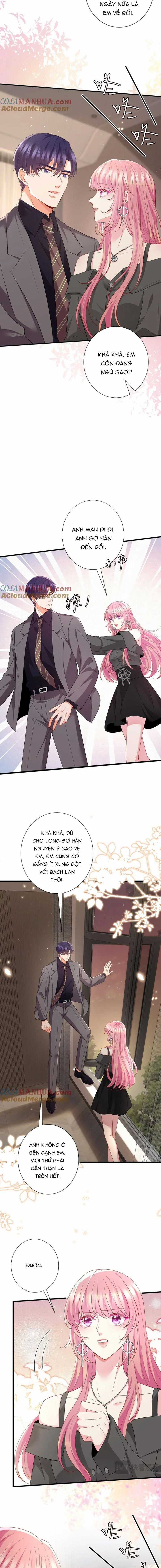 Danh Môn Chí Ái Chapter 486 trang 4