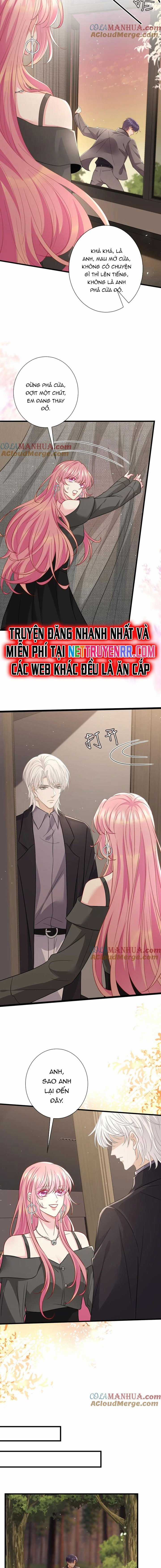 Danh Môn Chí Ái Chapter 486 trang 5