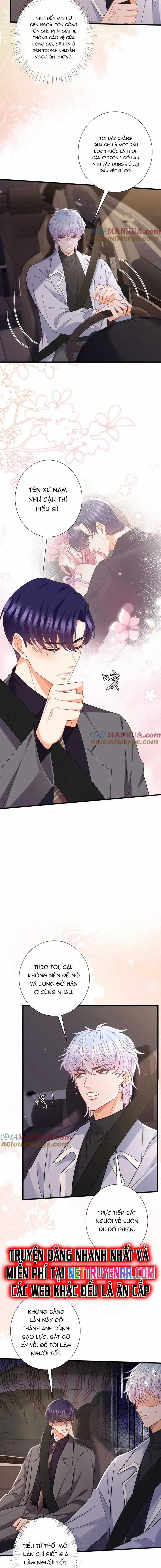 Danh Môn Chí Ái Chapter 486 trang 7