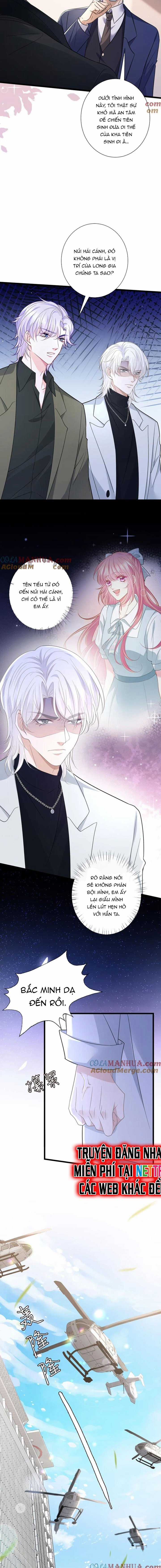 Danh Môn Chí Ái Chapter 487 trang 7