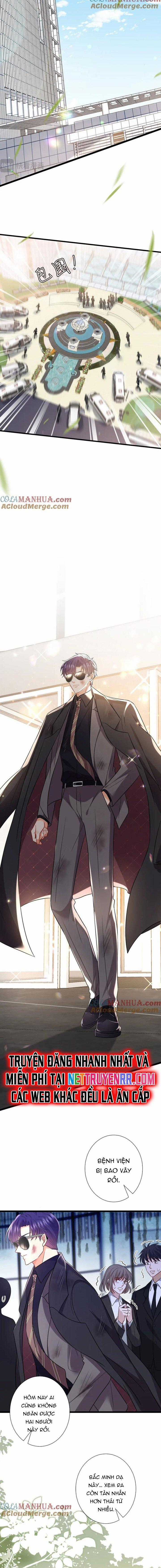 Danh Môn Chí Ái Chapter 487 trang 8