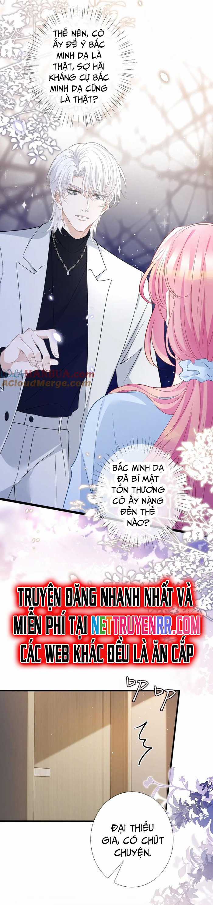 Danh Môn Chí Ái Chapter 488 trang 17