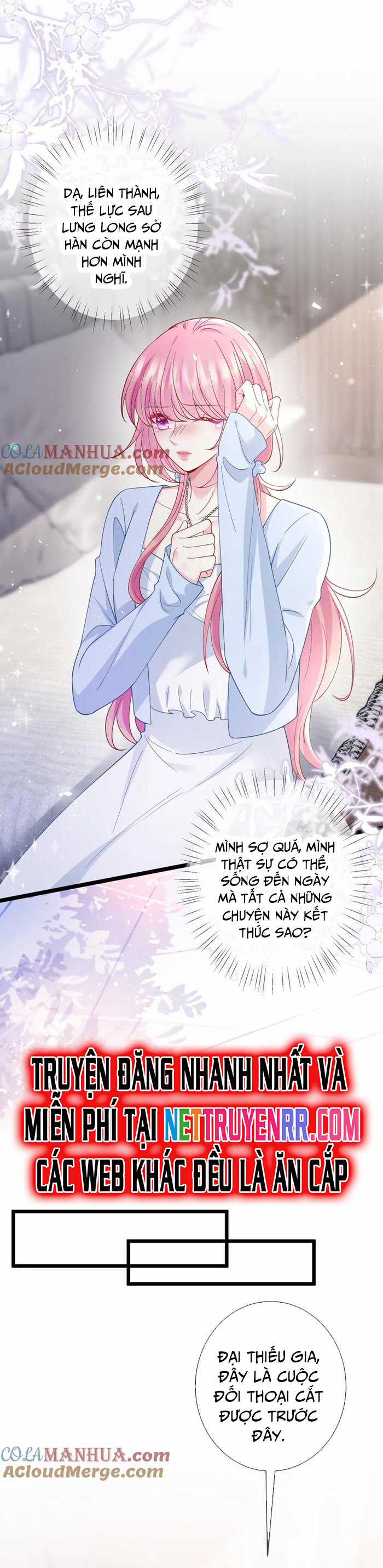 Danh Môn Chí Ái Chapter 488 trang 20