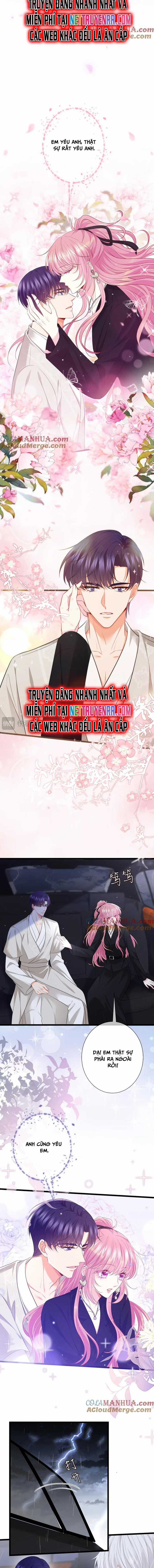 Danh Môn Chí Ái Chapter 491 trang 3