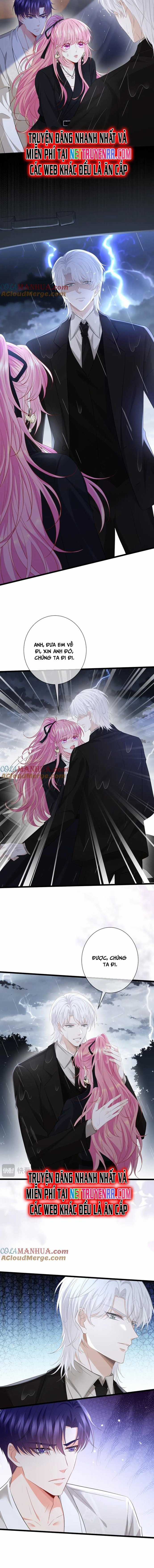 Danh Môn Chí Ái Chapter 491 trang 4