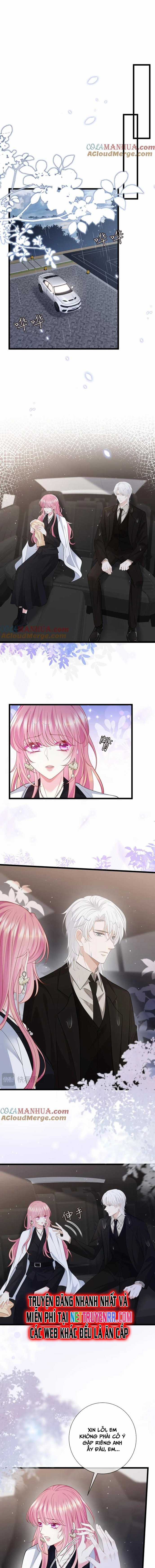 Danh Môn Chí Ái Chapter 491 trang 5