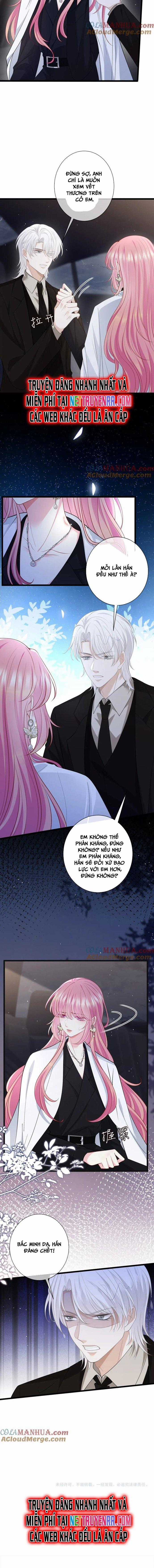 Danh Môn Chí Ái Chapter 491 trang 6