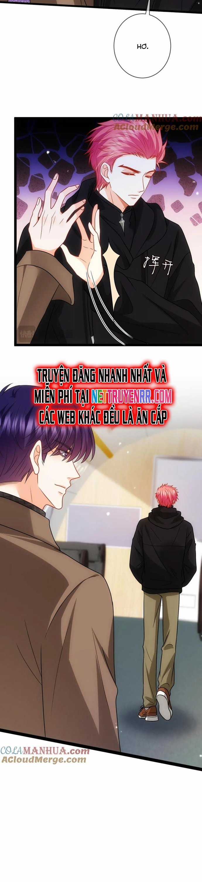 Danh Môn Chí Ái Chapter 497 trang 11