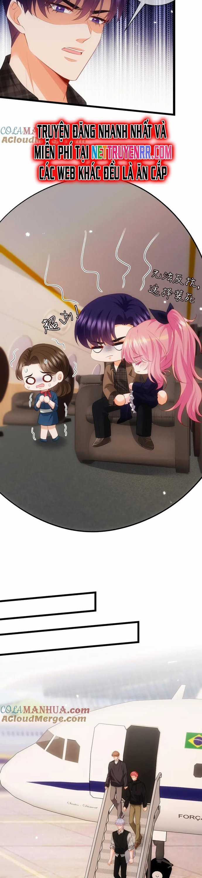 Danh Môn Chí Ái Chapter 498 trang 10