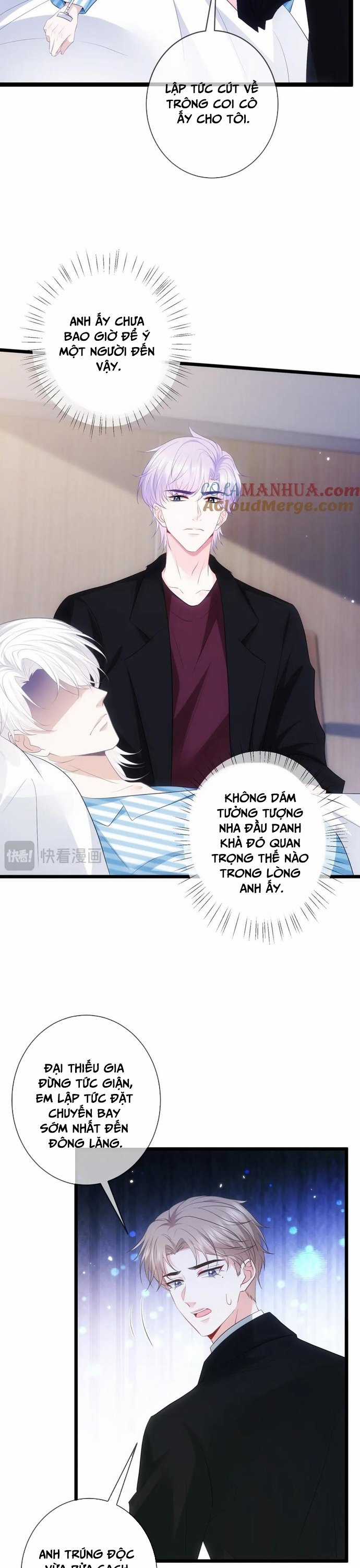 Danh Môn Chí Ái Chapter 498 trang 2