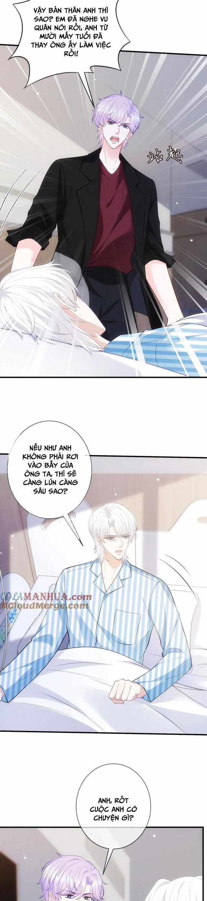 Danh Môn Chí Ái Chapter 498 trang 4