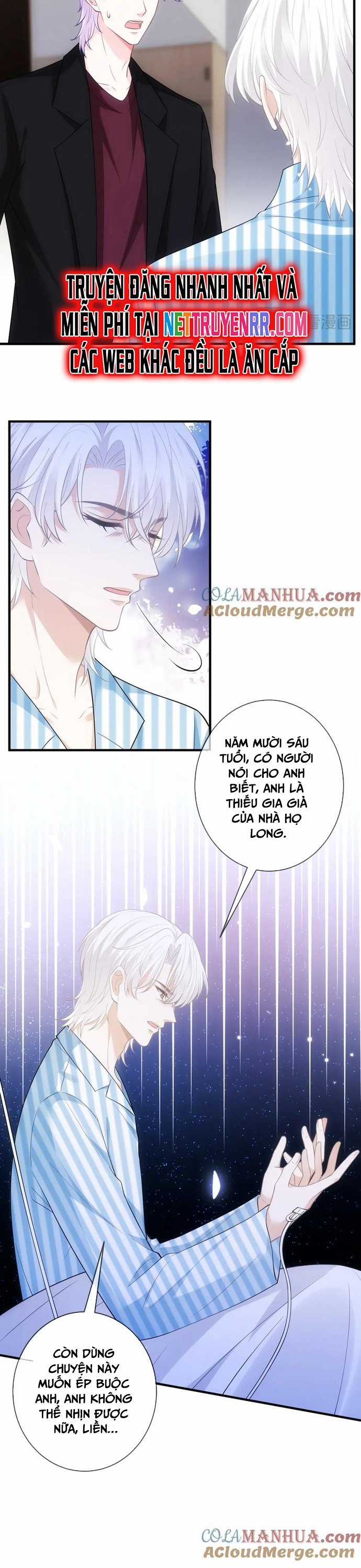 Danh Môn Chí Ái Chapter 498 trang 5