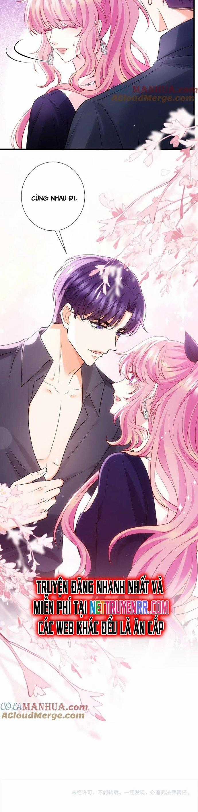 Danh Môn Chí Ái Chapter 499 trang 17