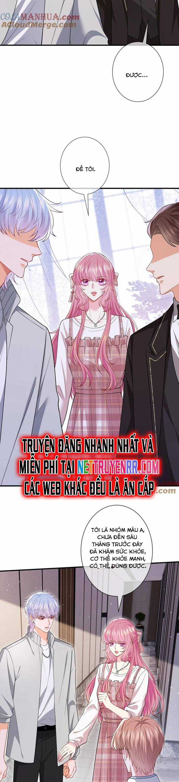 Danh Môn Chí Ái Chapter 501 trang 11