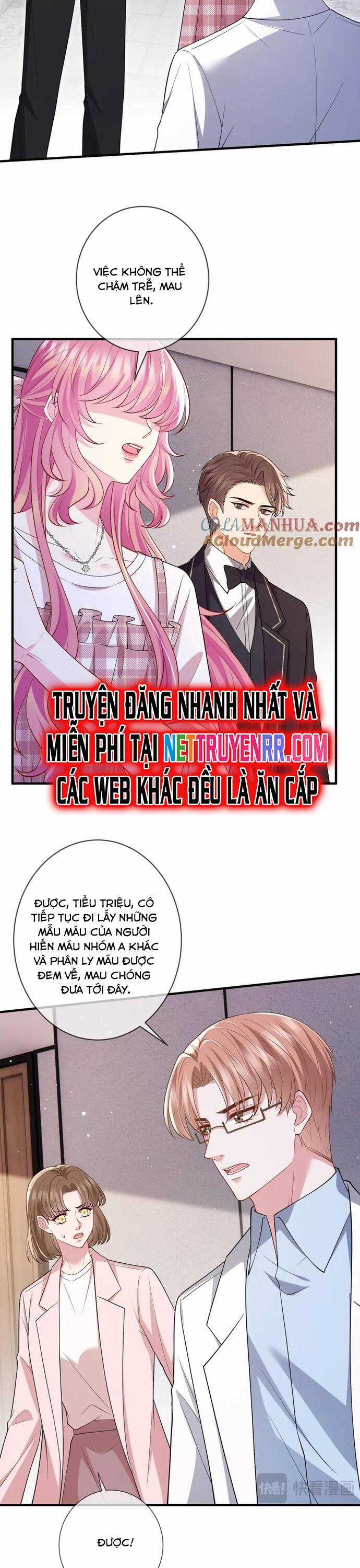 Danh Môn Chí Ái Chapter 501 trang 12